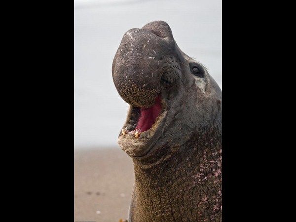 ఫోటోగ్రఫీకే ప్రాణం పోసారు!!