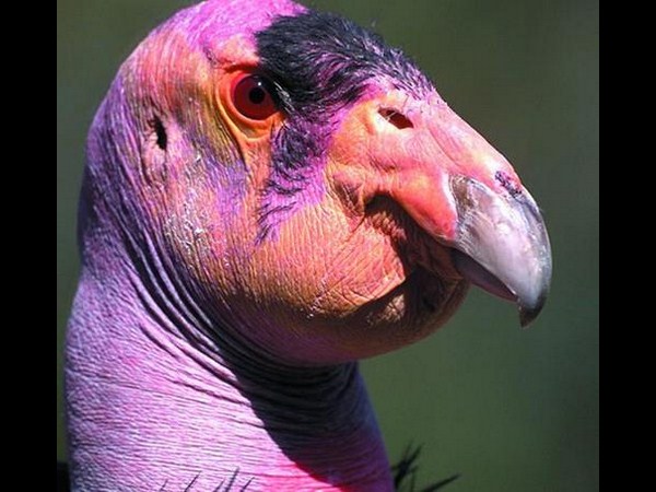 ఫోటోగ్రఫీకే ప్రాణం పోసారు!!