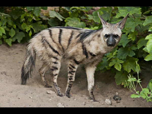 ఫోటోగ్రఫీకే ప్రాణం పోసారు!!