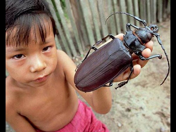 ఫోటోగ్రఫీకే ప్రాణం పోసారు!!