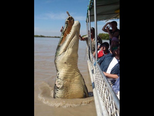 ఫోటోగ్రఫీకే ప్రాణం పోసారు!!