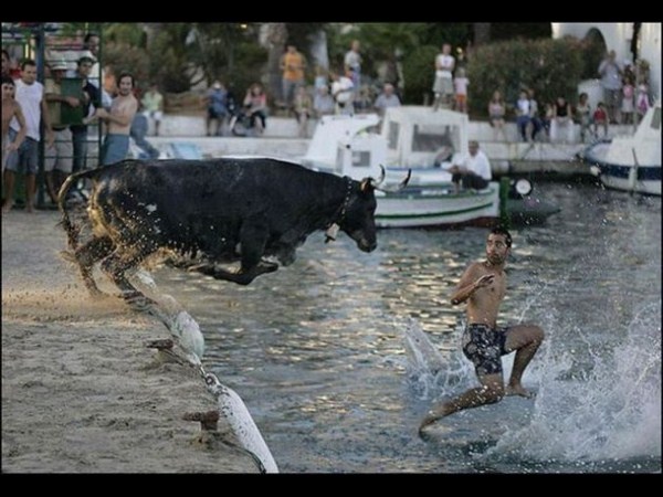 ఫోటోగ్రాఫర్లు..ఇరగదీసారు..!!