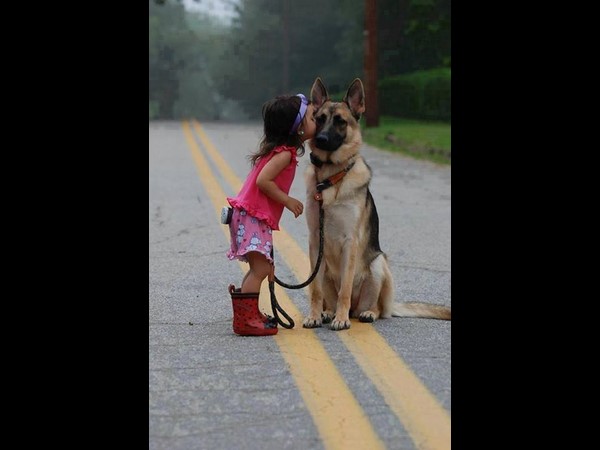 ఫోటోగ్రాఫర్లు..ఇరగదీసారు..!!