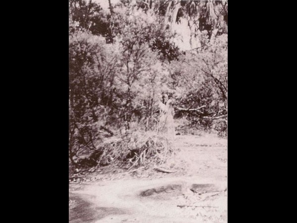 మనుషుల మధ్యనే అదృశ్య శక్తులు?