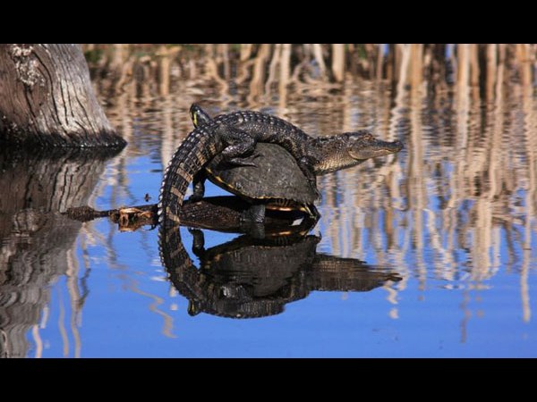 విభిన్న కథల సమ్మేళనం!