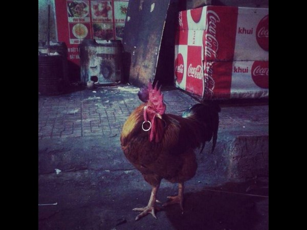 విభిన్న కథల సమ్మేళనం!