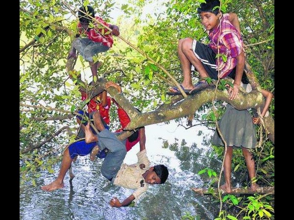 విభిన్న కథల సమ్మేళనం!