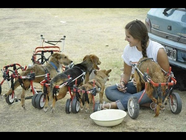 విభిన్న కథల సమ్మేళనం!