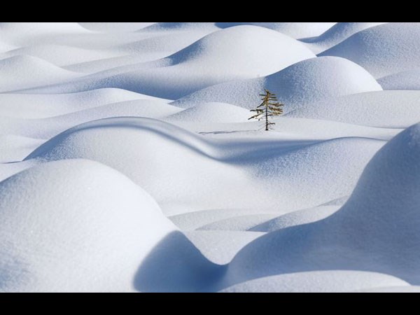 విభిన్న కథల సమ్మేళనం!