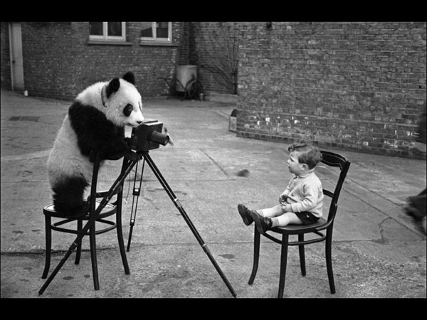 కెమెరాతో కుస్తీ కుస్తీ!!