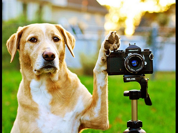 కెమెరాతో కుస్తీ కుస్తీ!!