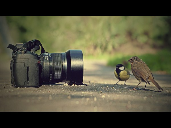 కెమెరాతో కుస్తీ కుస్తీ!!