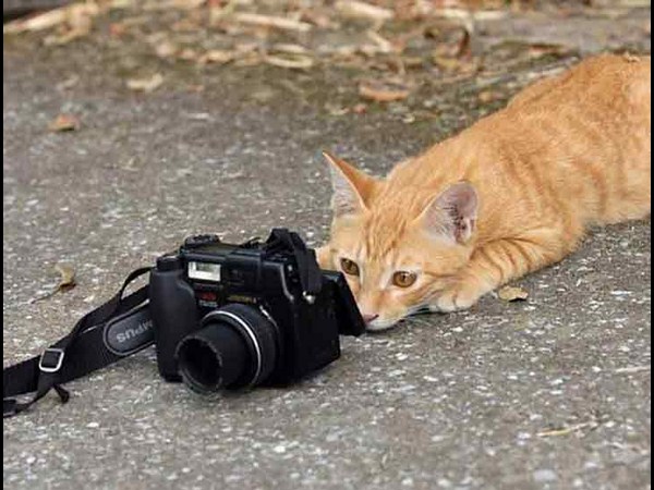 కెమెరాతో కుస్తీ కుస్తీ!!