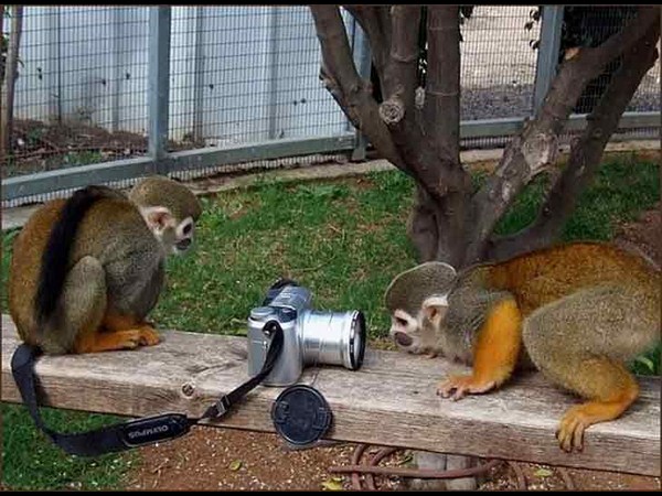 కెమెరాతో కుస్తీ కుస్తీ!!