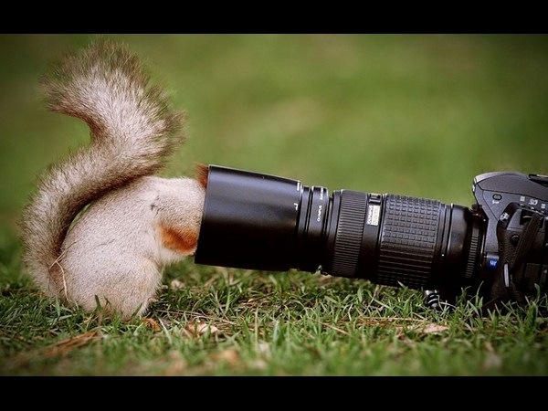 కెమెరాతో కుస్తీ కుస్తీ!