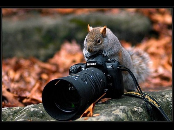 కెమెరాతో కుస్తీ కుస్తీ!!