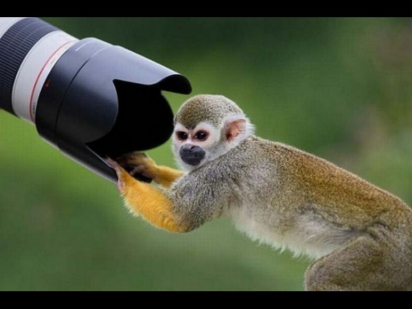 కెమెరాతో కుస్తీ కుస్తీ!!