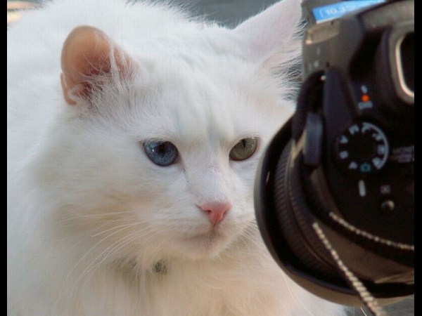 కెమెరాతో కుస్తీ కుస్తీ!!