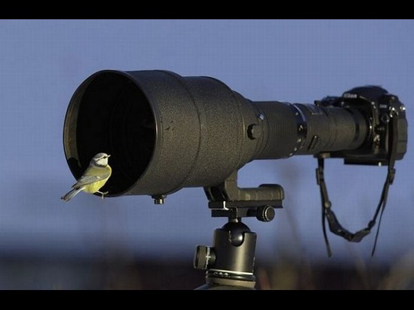 కెమెరాతో కుస్తీ కుస్తీ!!