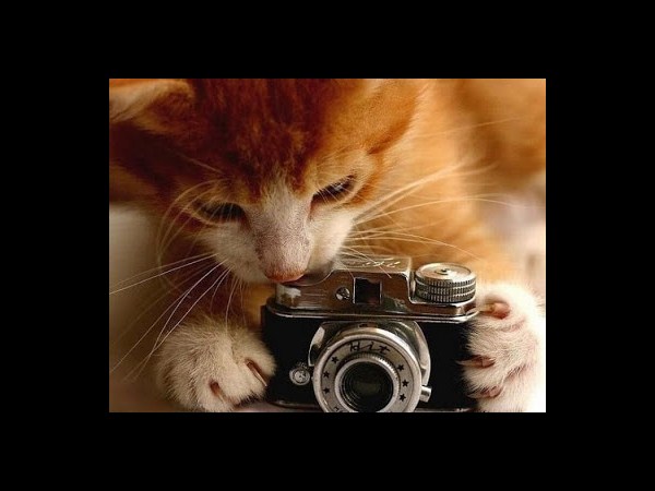 కెమెరాతో కుస్తీ కుస్తీ!!