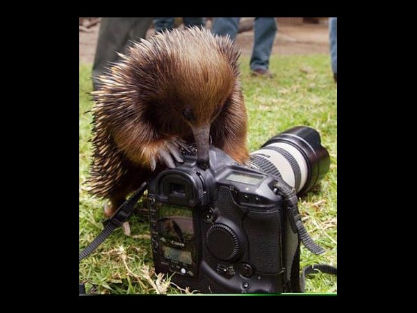 కెమెరాతో కుస్తీ కుస్తీ!!