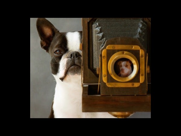 కెమెరాతో కుస్తీ కుస్తీ!!