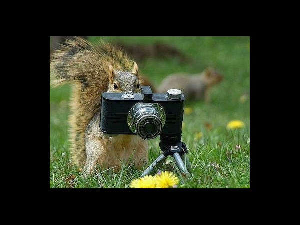 కెమెరాతో కుస్తీ కుస్తీ!!