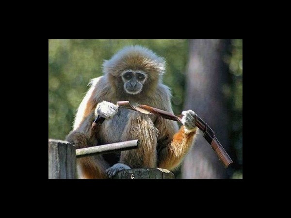 కెమెరాతో కుస్తీ కుస్తీ!!