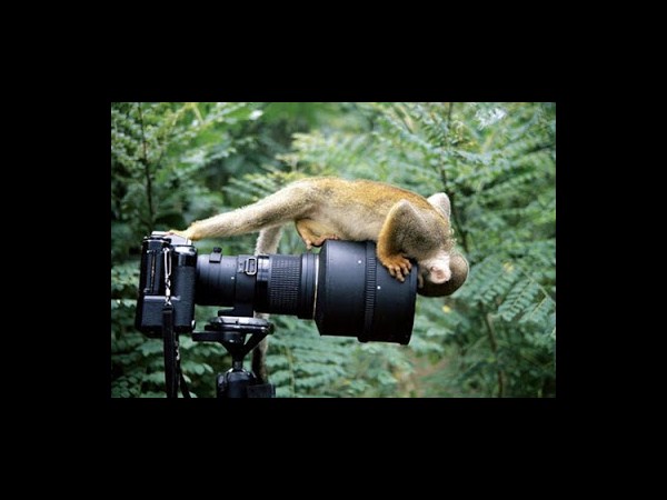 కెమెరాతో కుస్తీ కుస్తీ!!