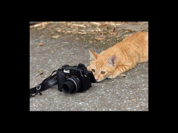 కెమెరాతో కుస్తీ కుస్తీ!!