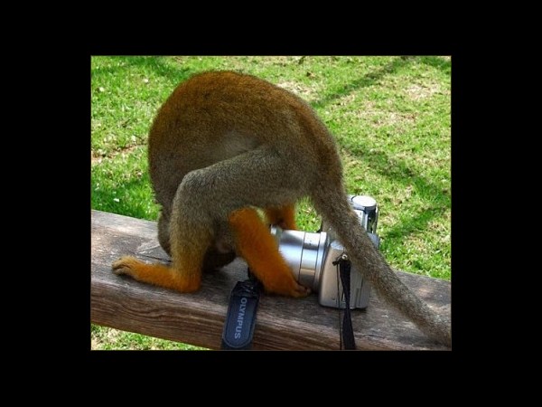 కెమెరాతో కుస్తీ కుస్తీ!!