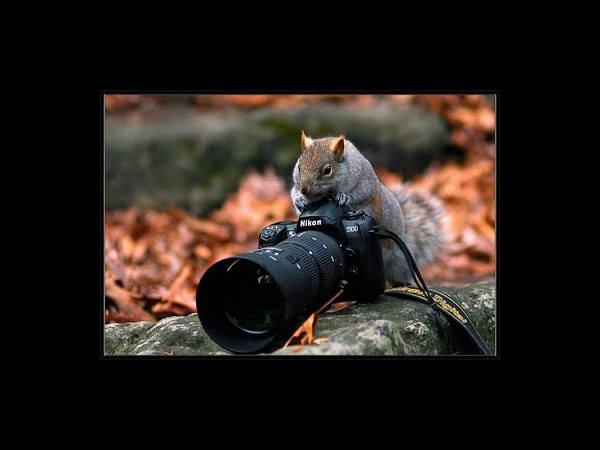 కెమెరాతో కుస్తీ కుస్తీ!!