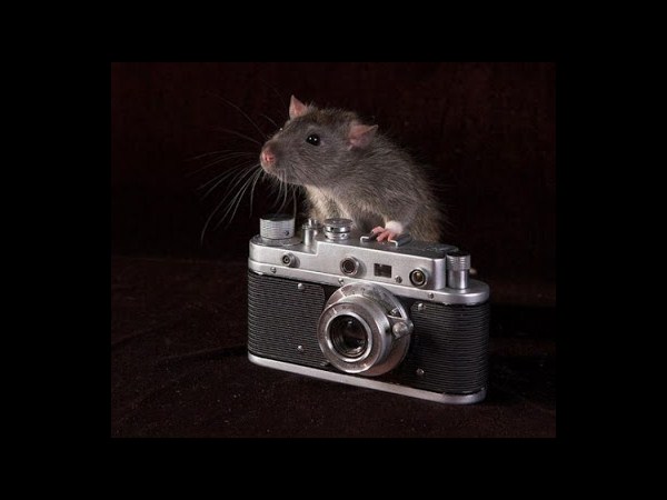 కెమెరాతో కుస్తీ కుస్తీ!!