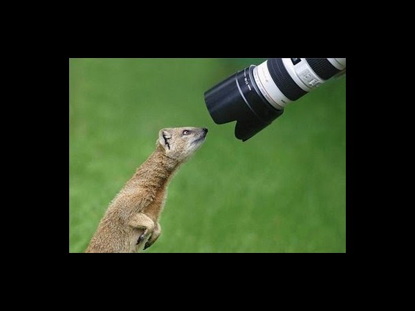 కెమెరాతో కుస్తీ కుస్తీ!!