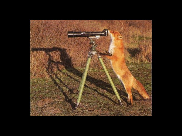 కెమెరాతో కుస్తీ కుస్తీ!!