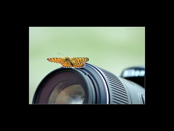 కెమెరాతో కుస్తీ కుస్తీ!!