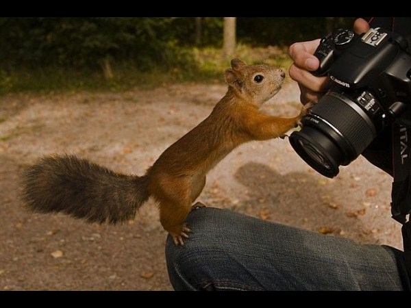 కెమెరాతో కుస్తీ కుస్తీ!!