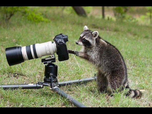 కెమెరాతో కుస్తీ కుస్తీ!!