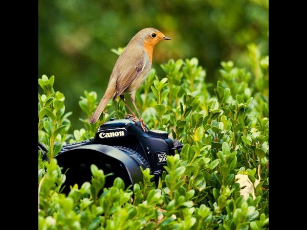 కెమెరాతో కుస్తీ కుస్తీ!!