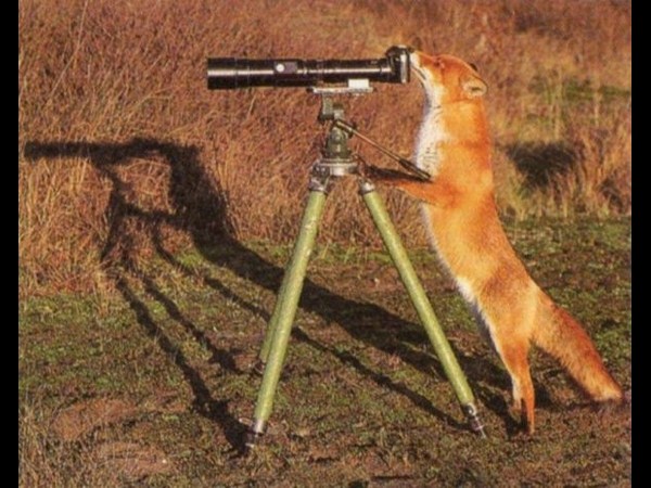 కెమెరాతో కుస్తీ కుస్తీ!!