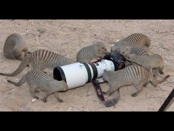 కెమెరాతో కుస్తీ కుస్తీ!!