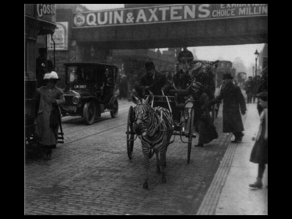 చారిత్రాత్మక ఘట్టాలు@సోషల్ మీడియా!!