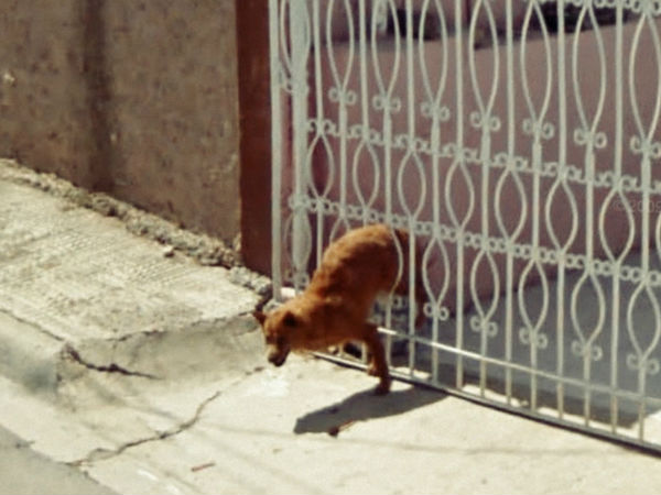 100% గందరగోళం!!