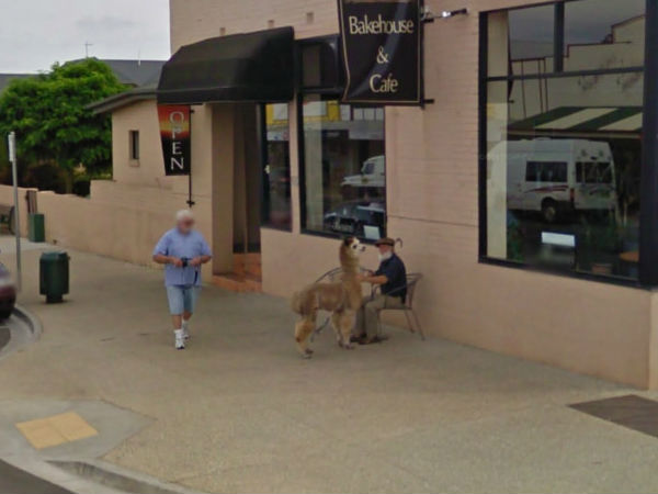 100% గందరగోళం!!