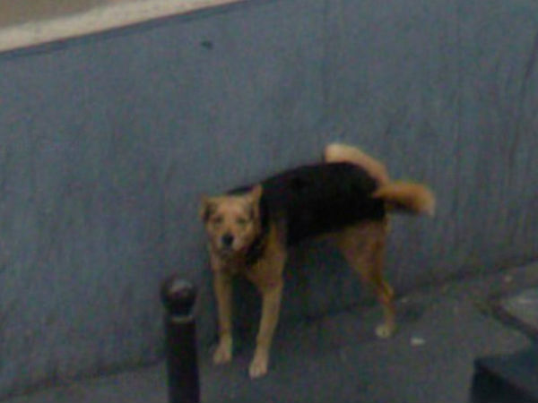 100% గందరగోళం!!