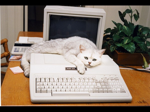 పూర్వ కాలం కంప్యూటర్లు (1970 - 2000)