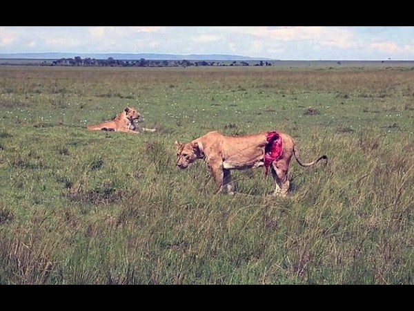 కెమెరాకు చిక్కిన కిరాతక వాస్తవాలు!
