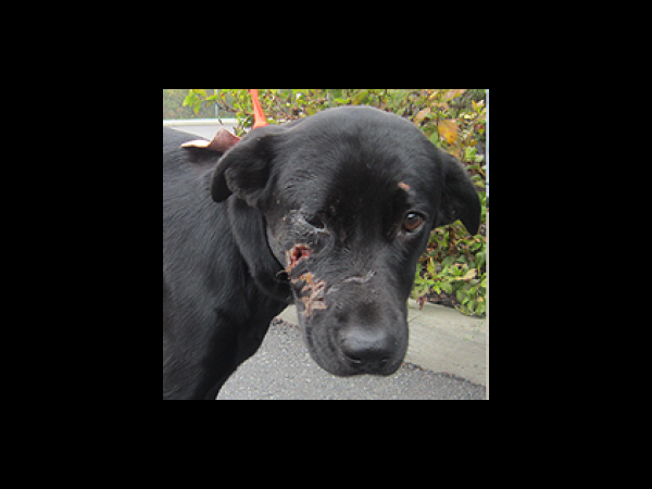 కెమెరాకు చిక్కిన కిరాతక వాస్తవాలు!