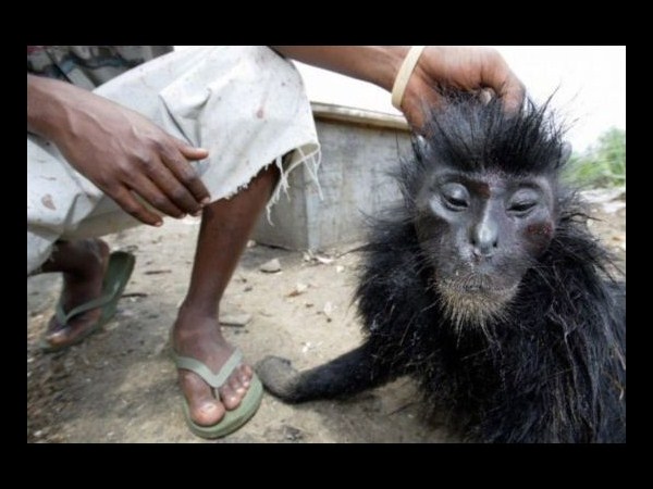 కెమెరాకు చిక్కిన కిరాతక వాస్తవాలు!