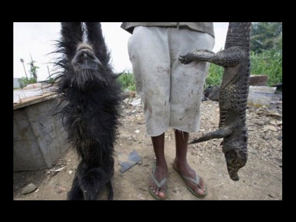 కెమెరాకు చిక్కిన కిరాతక వాస్తవాలు!